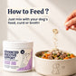 My Fur Child Advanced Digestive Support for Dogs