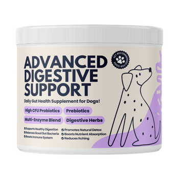 My Fur Child Advanced Digestive Support for Dogs