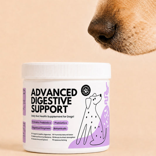 My Fur Child Advanced Digestive Support for Dogs
