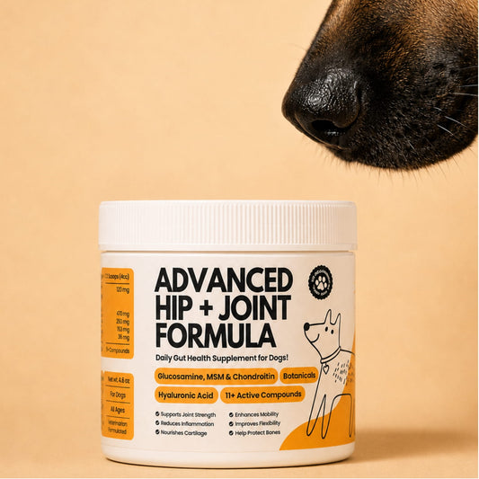 My Fur Child Advanced Hip & Joint Formula for Dogs