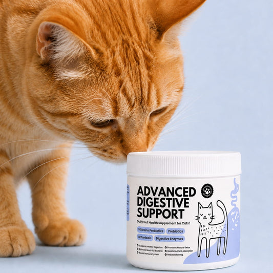 My Fur Child Advanced Digestive Support for Cats