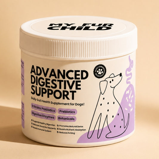 My Fur Child Advanced Digestive Support for Dogs